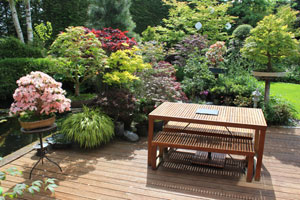 View of a Western-style Japanese garden, with bonsai trees, koi pond, timber decking and furniture