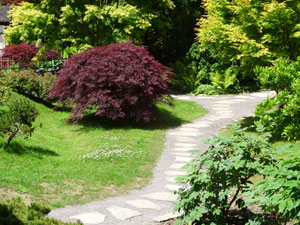 Image of stone and pebble and pathway running through a Japanese garden