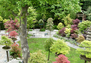 View of a large Japanese garden, with bonsai trees, stepping stone pathways and a stone pagoda